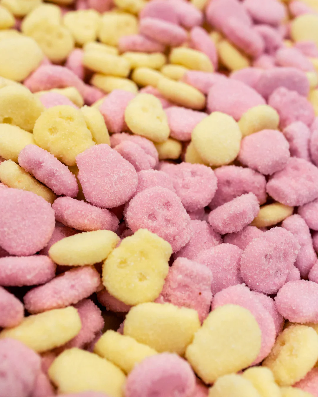 PÄNDY Sour Skulls - Image 2
